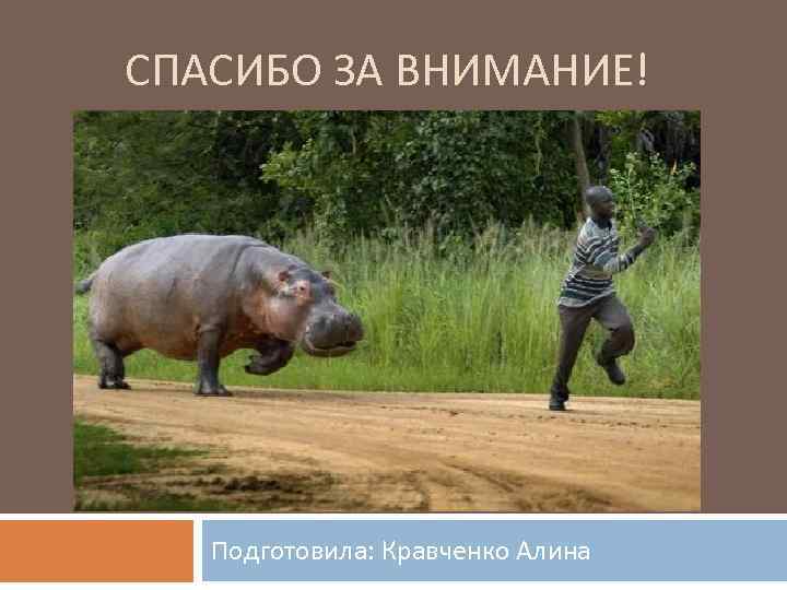 СПАСИБО ЗА ВНИМАНИЕ! Подготовила: Кравченко Алина 