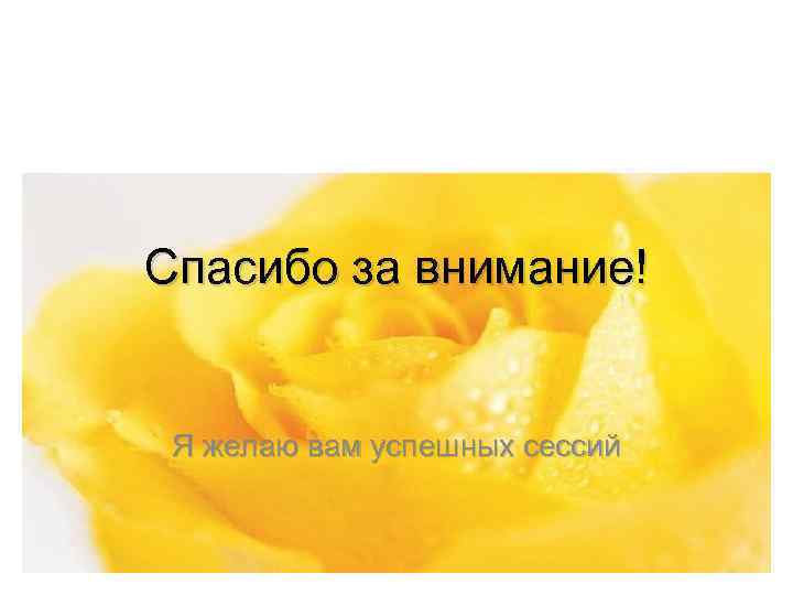 Спасибо за внимание! Я желаю вам успешных сессий 