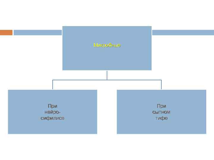 Микробные При нейросифилисе При сыпном тифе 