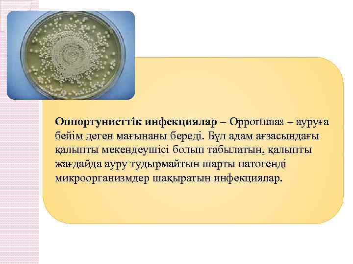  Оппортунисттік инфекциялар – Оpportunas – ауруға бейім деген мағынаны береді. Бұл адам ағзасындағы