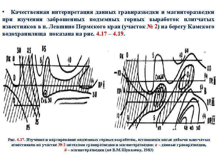  • Качественная интерпретация данных гравиразведки и магниторазведки при изучении заброшенных подземных горных выработок