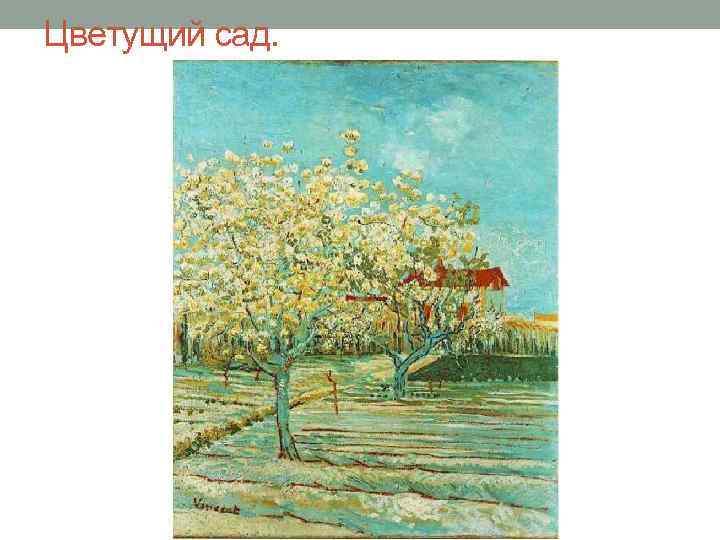 Цветущий сад. 