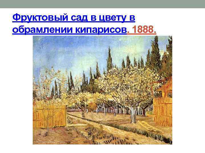Фруктовый сад в цвету в обрамлении кипарисов. 1888. 