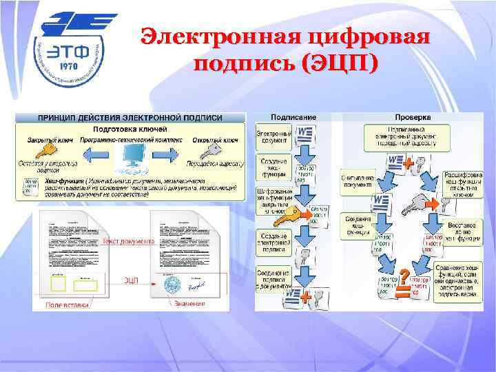 Электронная цифровая подпись (ЭЦП) 