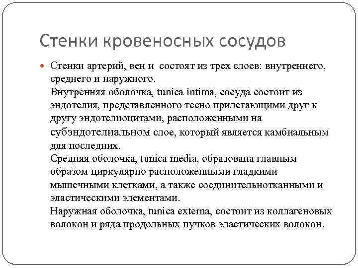 Стенки кровеносных сосудов Стенки артерий, вен и состоят из трех слоев: внутреннего, среднего и