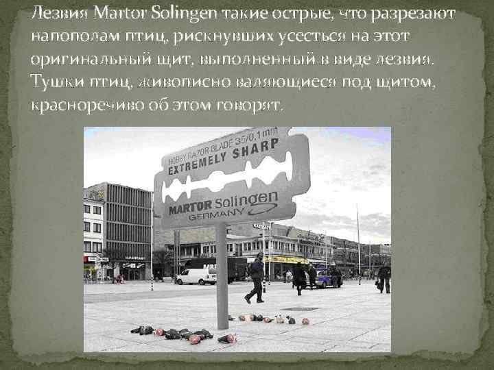 Лезвия Martor Solingen такие острые, что разрезают напополам птиц, рискнувших усесться на этот оригинальный