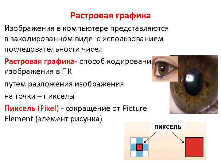 Растровая графика Изображения в компьютере представляются в закодированном виде с использованием последовательности чисел Растровая