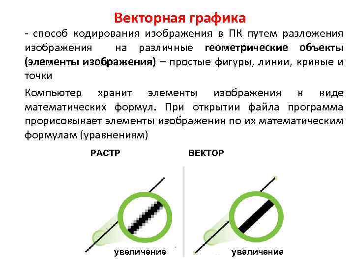 Векторная графика - способ кодирования изображения в ПК путем разложения изображения на различные геометрические