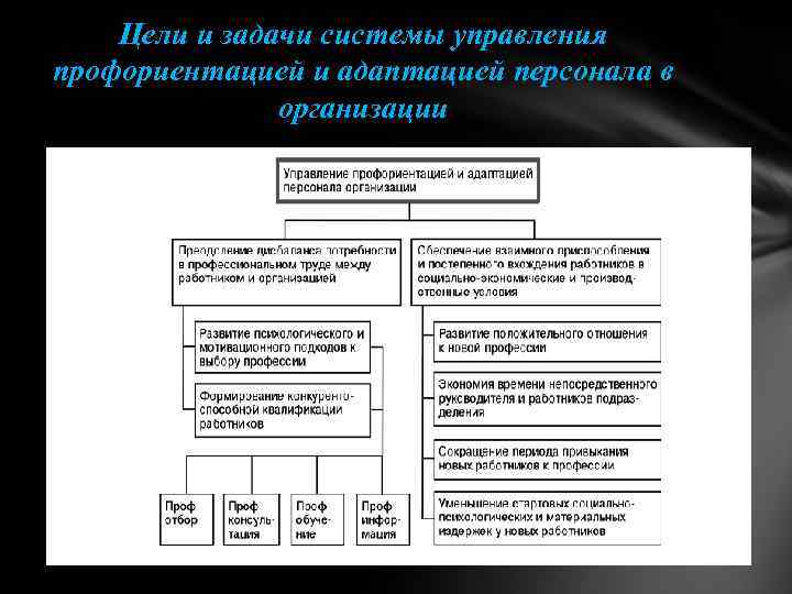 Цели и задачи системы управления профориентацией и адаптацией персонала в организации 