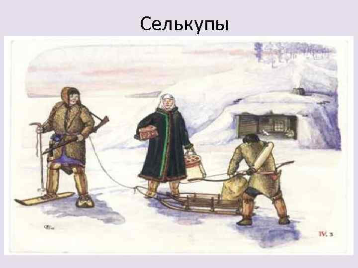 Селькупы 