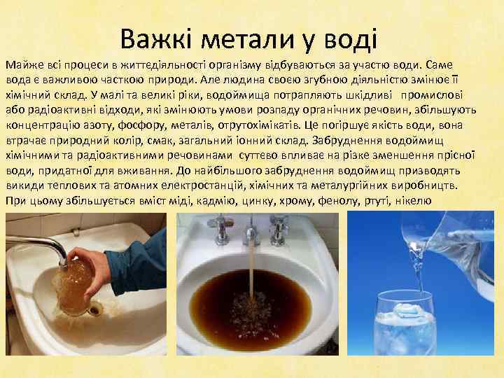 Важкі метали у воді Майже всі процеси в життєдіяльності організму відбуваються за участю води.