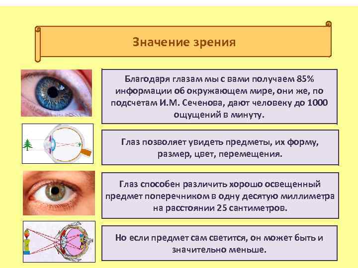 Значение зрения Благодаря глазам мы с вами получаем 85% информации об окружающем мире, они