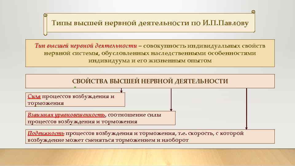 Типы высшей нервной деятельности по И. П. Павлову Тип высшей нервной деятельности – совокупность