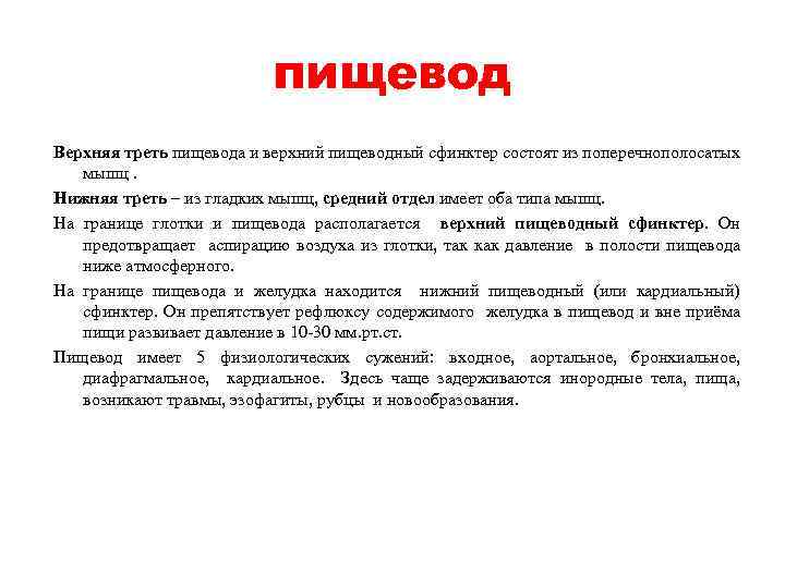 пищевод Верхняя треть пищевода и верхний пищеводный сфинктер состоят из поперечнополосатых мышц. Нижняя треть