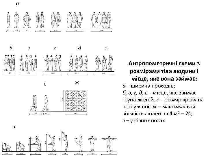 а б в г є з д ж е Антропометричні схеми з розмірами тіла