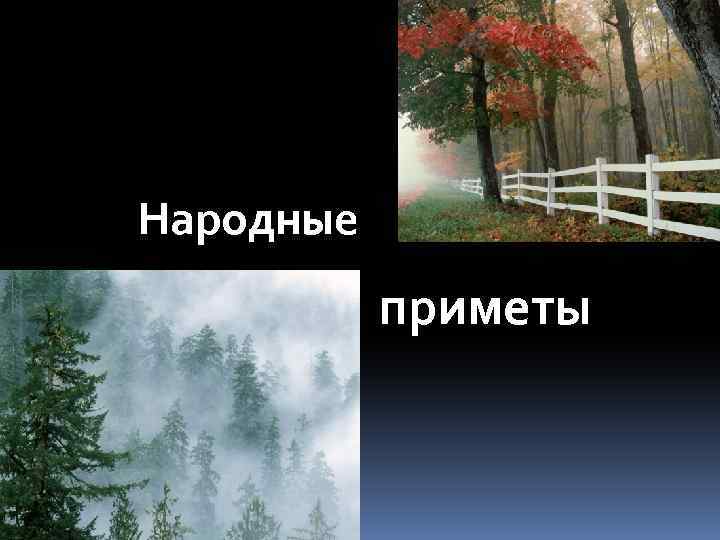 Русских примет. Приметы. Русские приметы. Народные приметы картинки. Приметы фото.