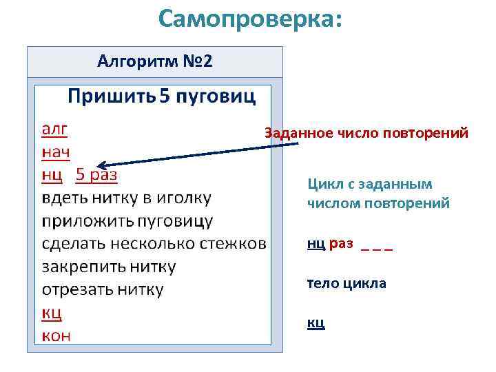 Самопроверка: Алгоритм № 2 Заданное число повторений Цикл с заданным числом повторений нц раз