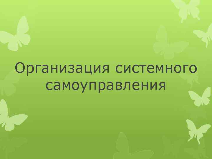 Организация системного самоуправления 