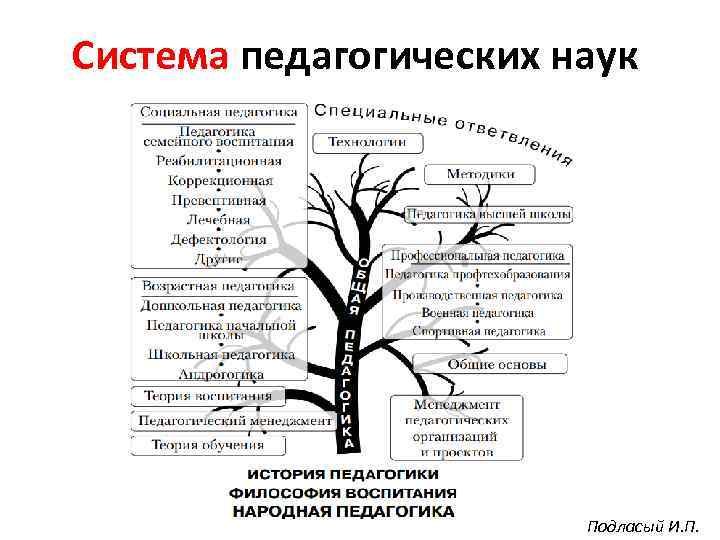 Схема специальной педагогики с другими науками схема