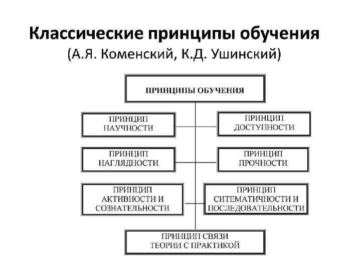 Современные представления о механизмах и закономерностях эволюции проект