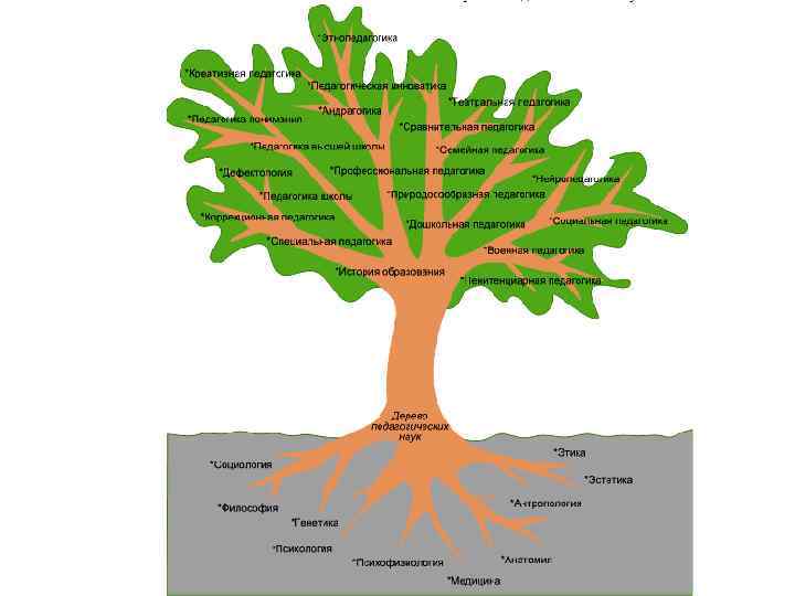 Древо понятий. Дерево педагогики. Психология в виде дерева. Педагогика в виде дерева. Дерево педагогических наук.