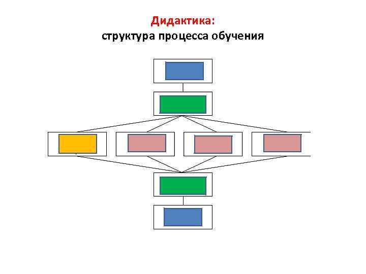 Дидактика: структура процесса обучения П. интерес 