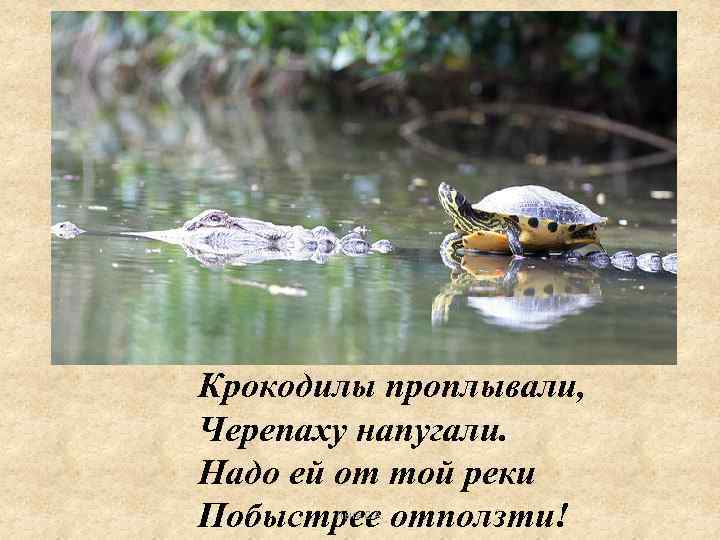 Крокодилы проплывали, Черепаху напугали. Надо ей от той реки Побыстрее отползти! Лыга С. А.