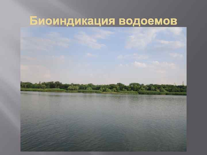 Биоиндикация водоемов 