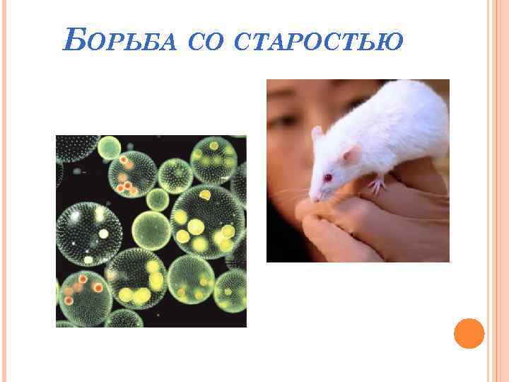 БОРЬБА СО СТАРОСТЬЮ 