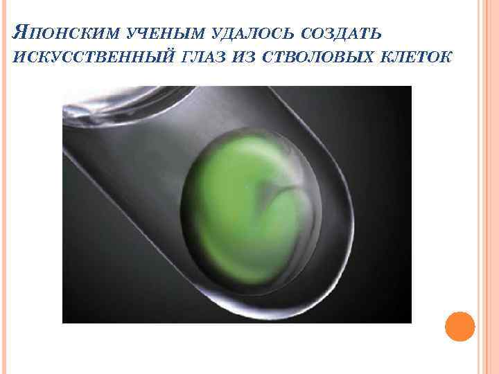 ЯПОНСКИМ УЧЕНЫМ УДАЛОСЬ СОЗДАТЬ ИСКУССТВЕННЫЙ ГЛАЗ ИЗ СТВОЛОВЫХ КЛЕТОК 