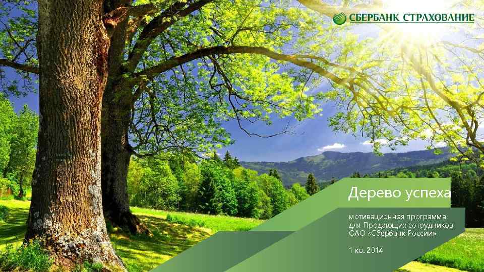 Дерево успеха мотивационная программа для Продающих сотрудников ОАО «Сбербанк России» 1 кв. 2014 