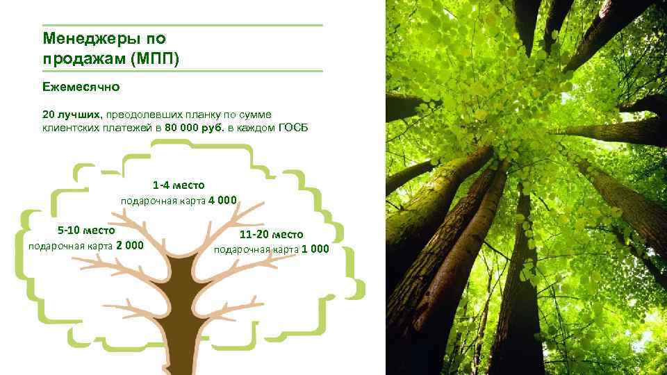 Менеджеры по продажам (МПП) Ежемесячно 20 лучших, преодолевших планку по сумме клиентских платежей в