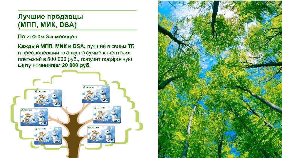 Лучшие продавцы (МПП, МИК, DSA) По итогам 3 -х месяцев Каждый МПП, МИК и