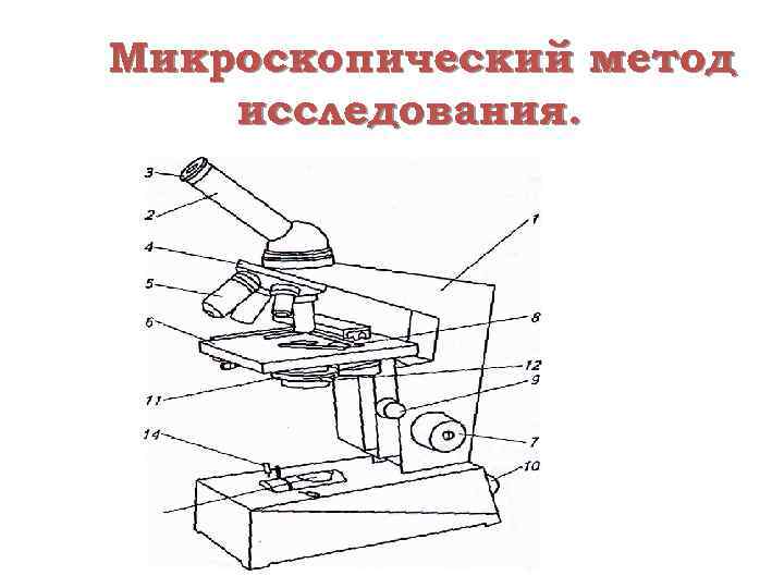 Форум микроскопии