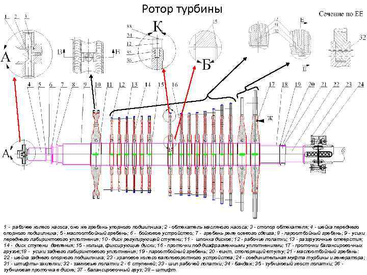 Ротор турбины 1 - рабочее колесо насоса, оно же гребень упорного подшипника; 2 -