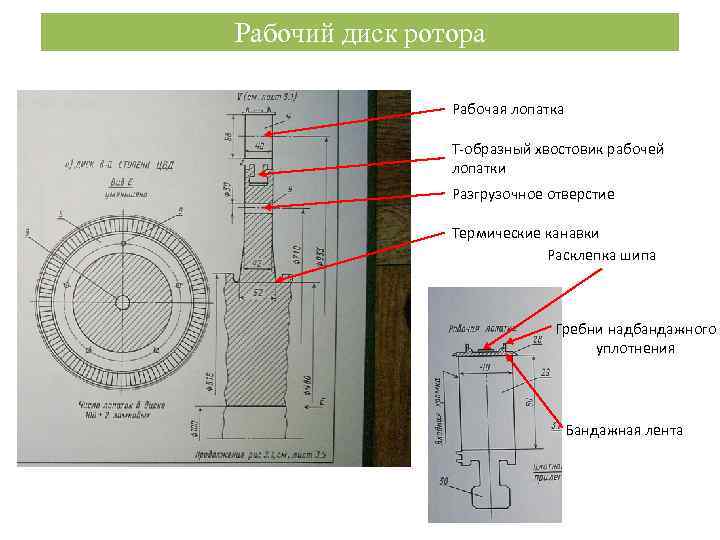 Рабочий диск ротора Рабочая лопатка Т-образный хвостовик рабочей лопатки Разгрузочное отверстие Термические канавки Расклепка