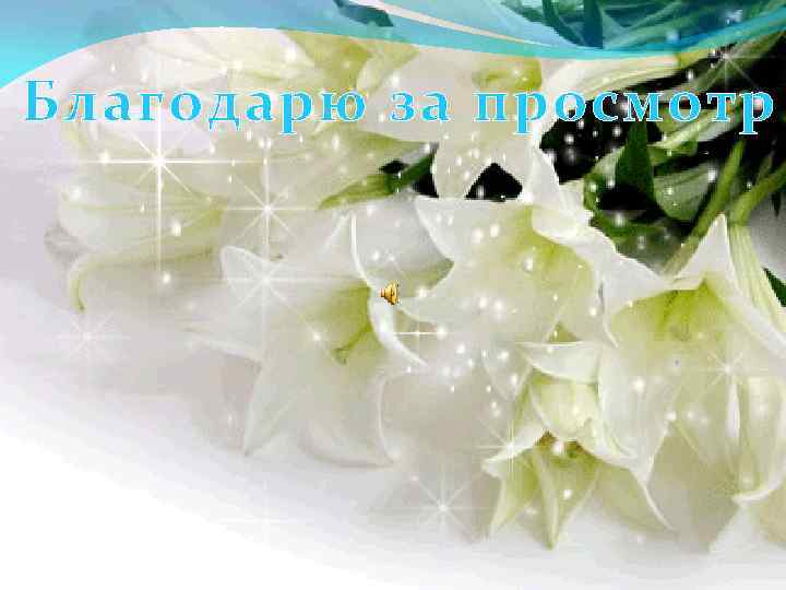 Благодарю за просмотр 