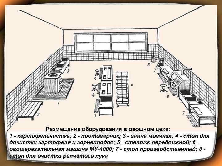  Размещение оборудования в овощном цехе: 1 - картофелечистка; 2 - подтоварник; 3 -