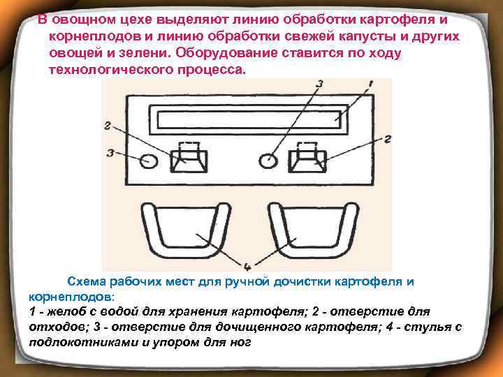  В овощном цехе выделяют линию обработки картофеля и корнеплодов и линию обработки свежей