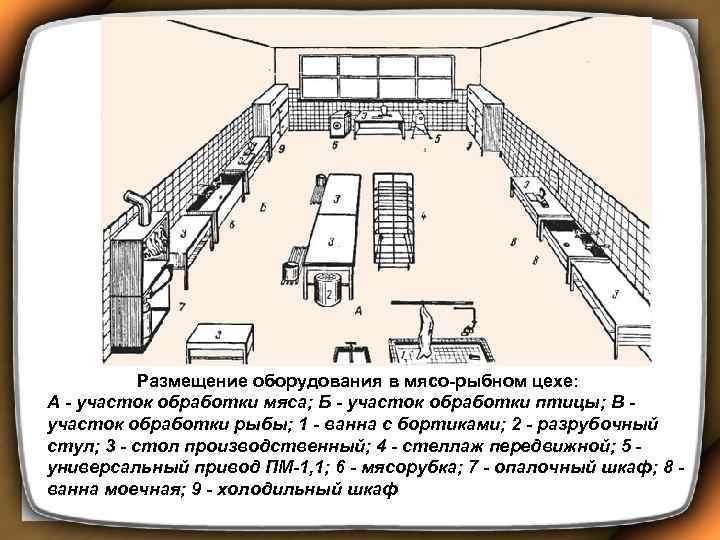  Размещение оборудования в мясо-рыбном цехе: А - участок обработки мяса; Б - участок