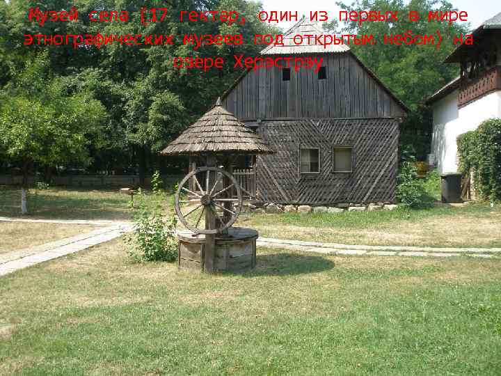 Музей села (17 гектар, один из первых в мире этнографических музеев под открытым небом)
