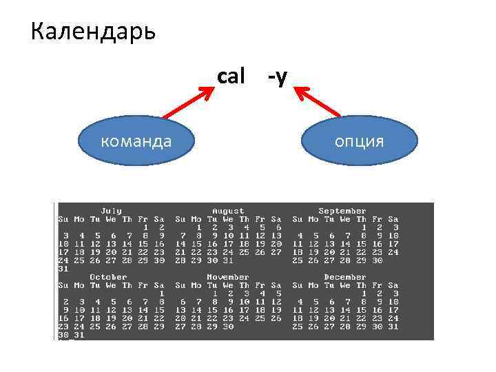 Календарь cal -y команда опция 