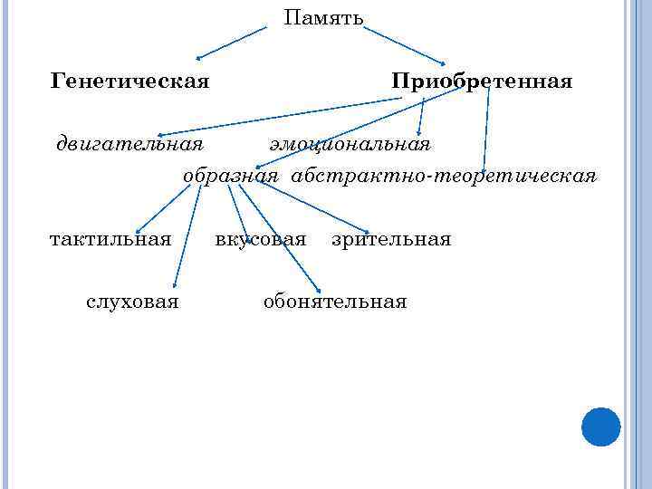 Память Генетическая Приобретенная двигательная эмоциональная образная абстрактно-теоретическая тактильная слуховая вкусовая зрительная обонятельная 