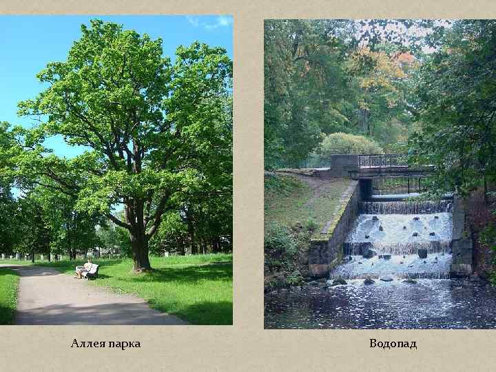 Аллея парка Водопад 