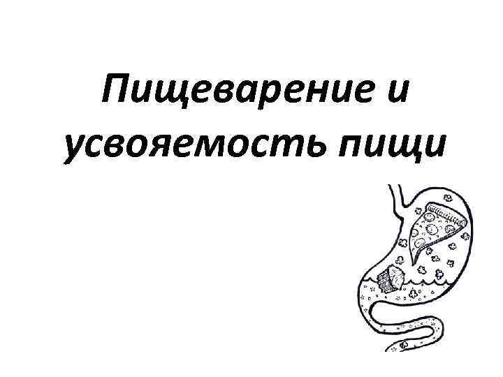 Пищеварение и усвояемость пищи 