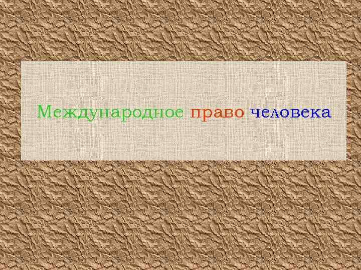Международное право человека 