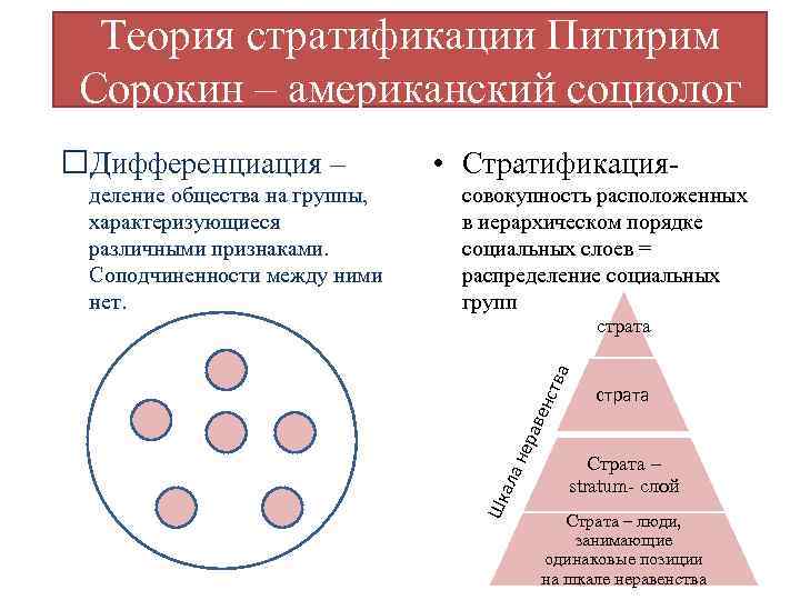 Теория стратификации Питирим Сорокин – американский социолог совокупность расположенных в иерархическом порядке социальных слоев