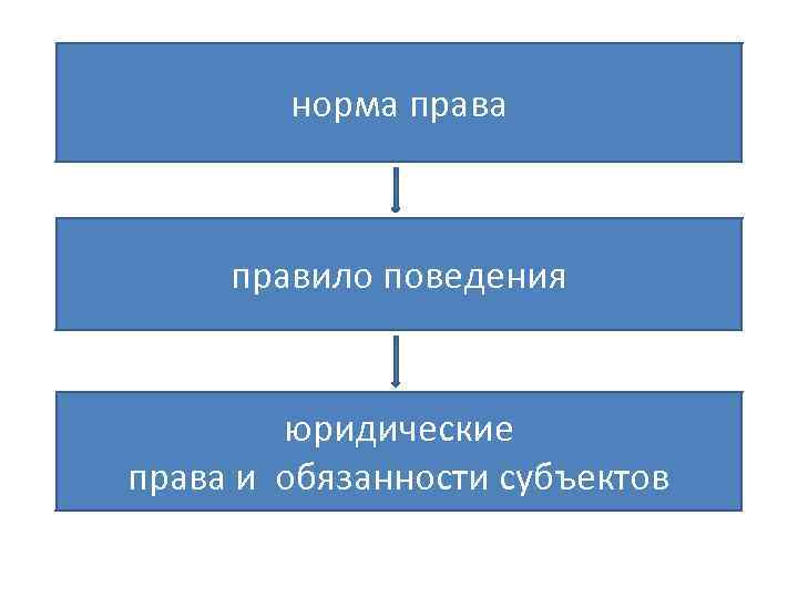 норма правило поведения юридические права и обязанности субъектов 