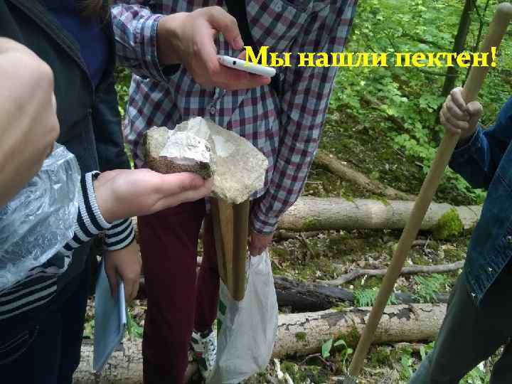  Мы нашли пектен! 