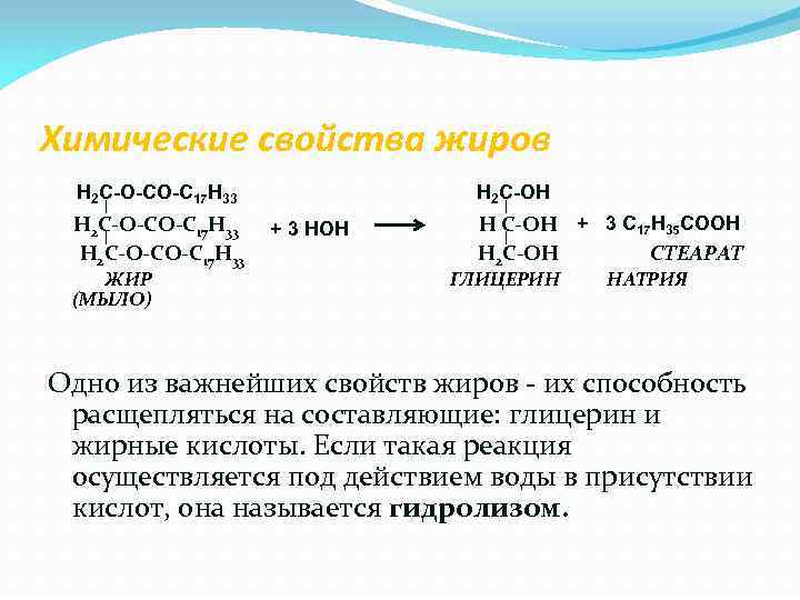 Характеристика жиров и масел